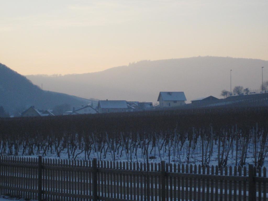 Moselschoen Das Ferienhaus Brodenbach Cameră foto
