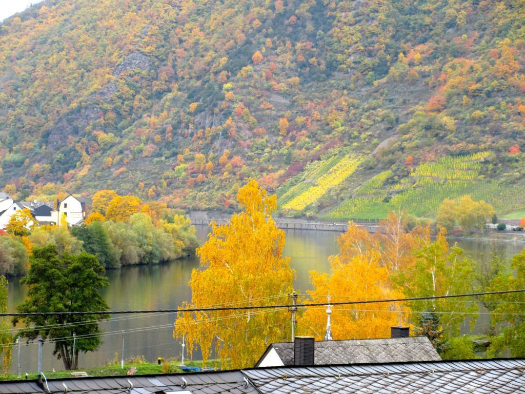 Moselschoen Das Ferienhaus Brodenbach Cameră foto